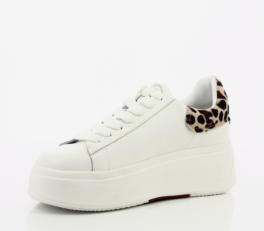 ScanCube-1-5928ASH MOBY