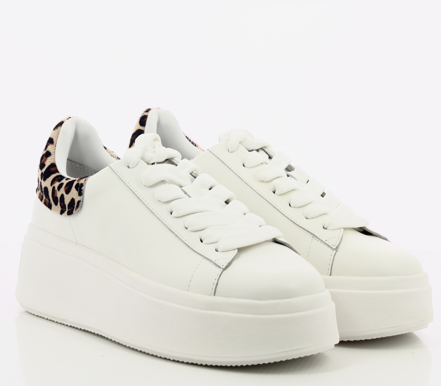 ScanCube-1-5931ASH MOBY