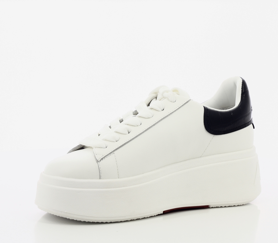 ScanCube-1-5933ASH MOBY