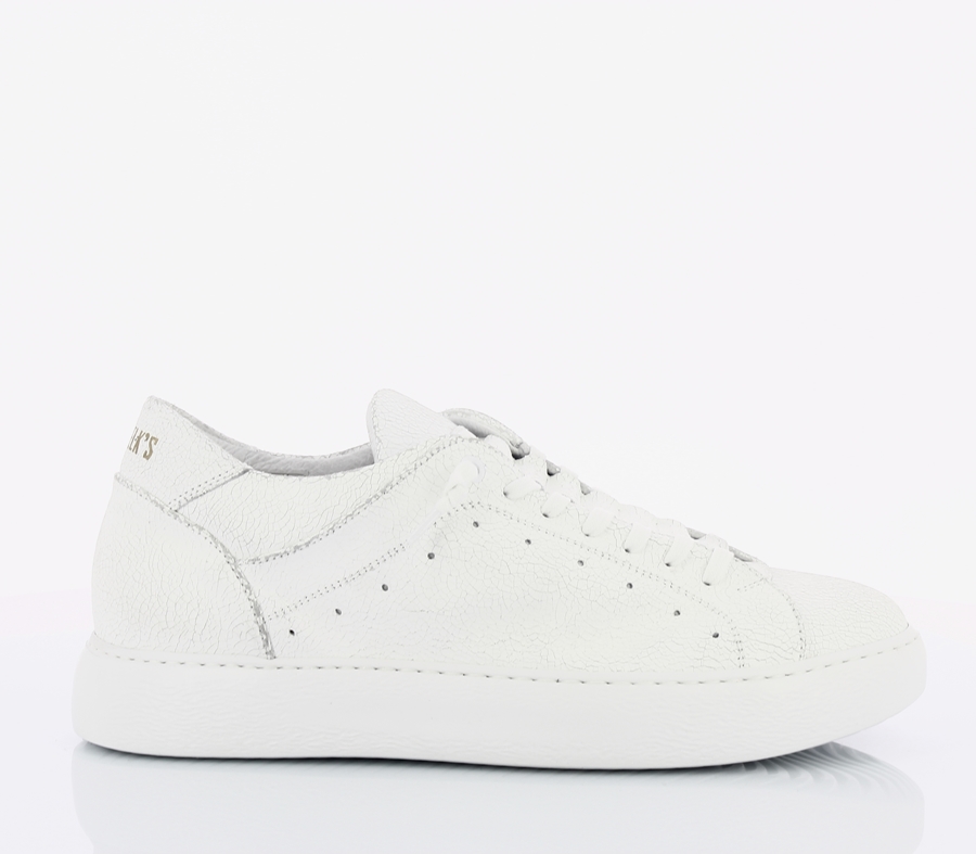 PAWELK'S|20620
