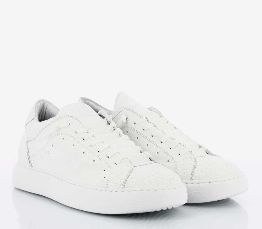 PAWELK’S|20620
