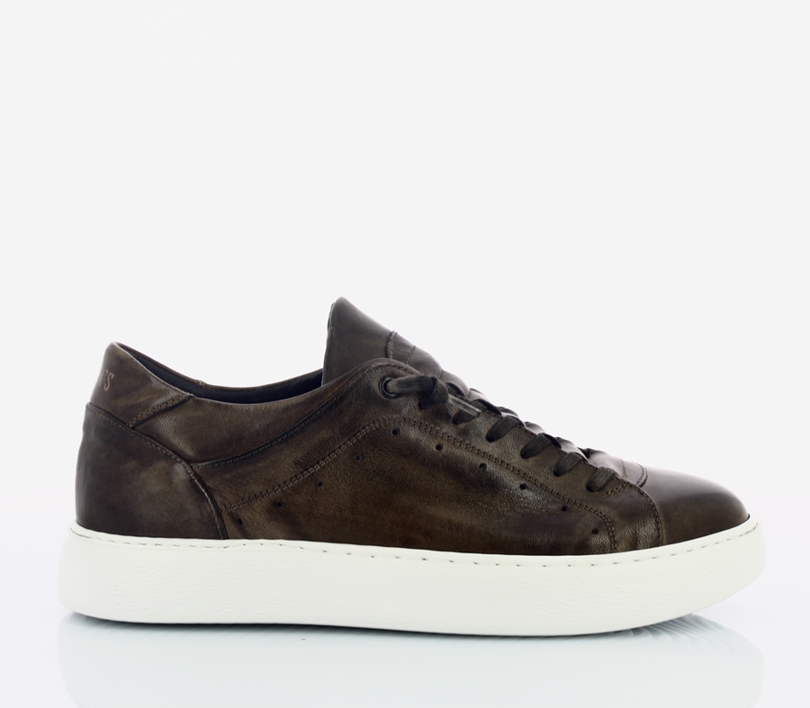 PAWELK'S|20620