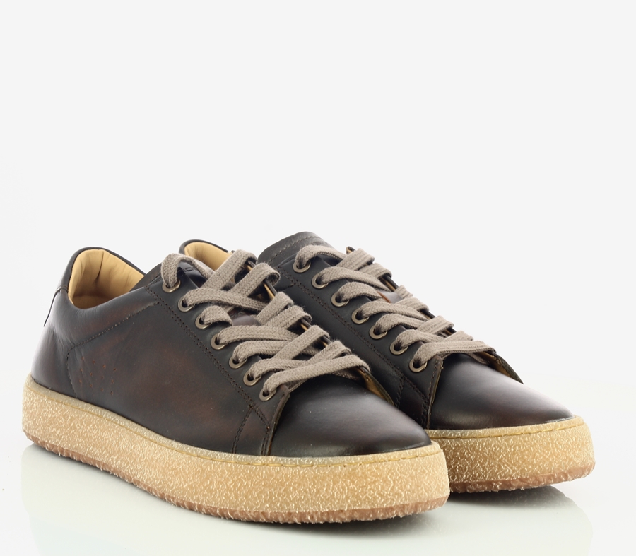 AMBITIOUS|13971 BRANDY
